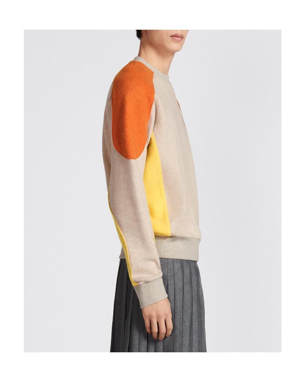 Dior Multicolor Homme Logo Printed Crewneck Sweatshirt for men