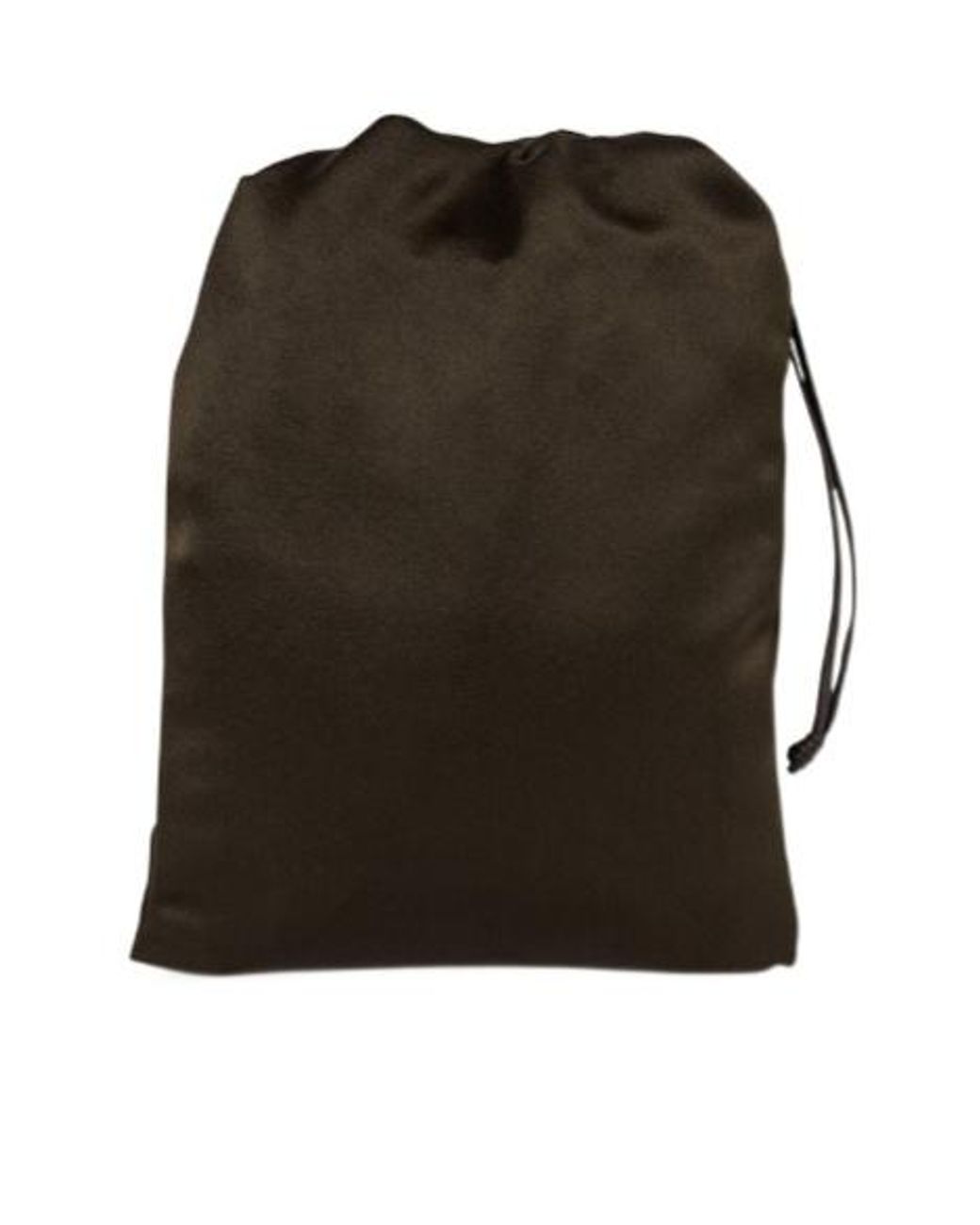 The Row Green Ray Rectangular Clutch