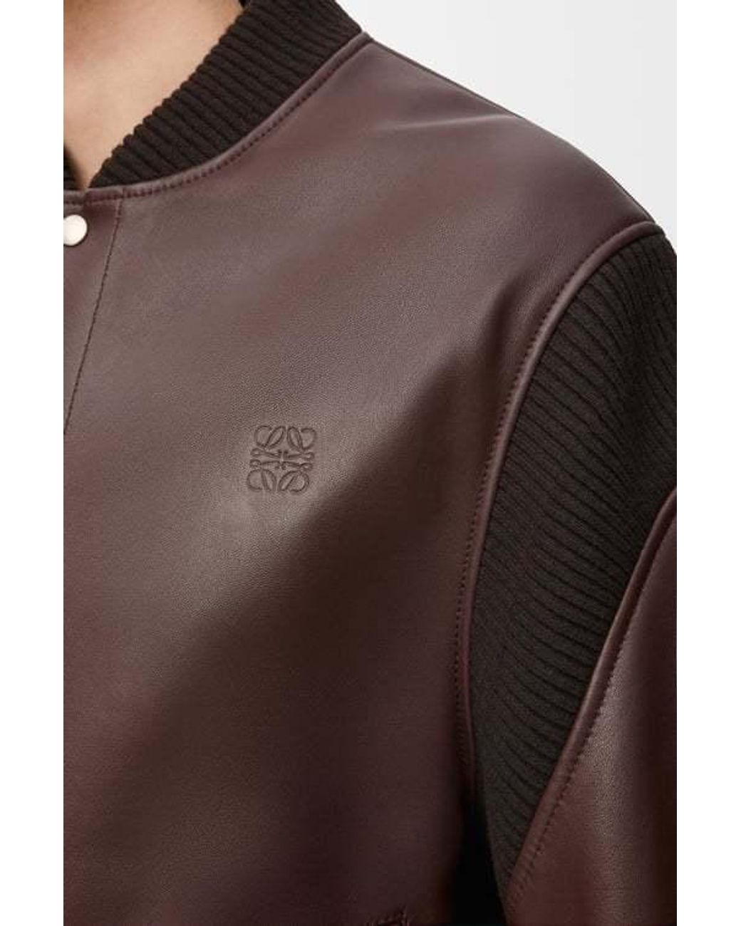 Loewe Brown Bomber Jacket for men