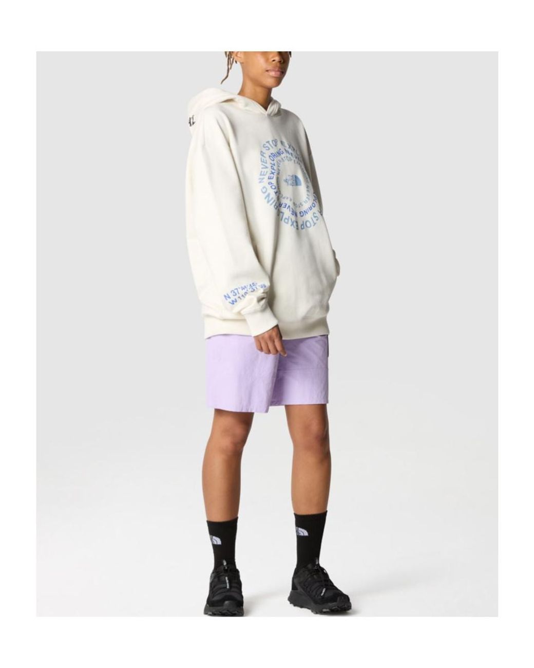The North Face Gray Nse Graphic Hoodie for men