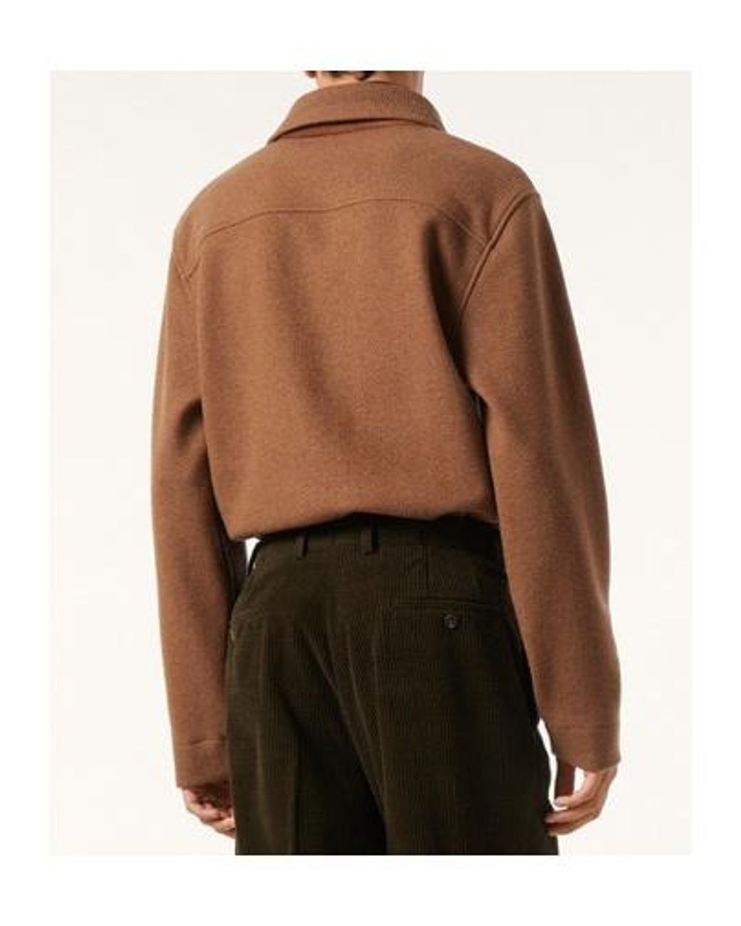 Loro Piana Brown Hazel Polo Shirt for men