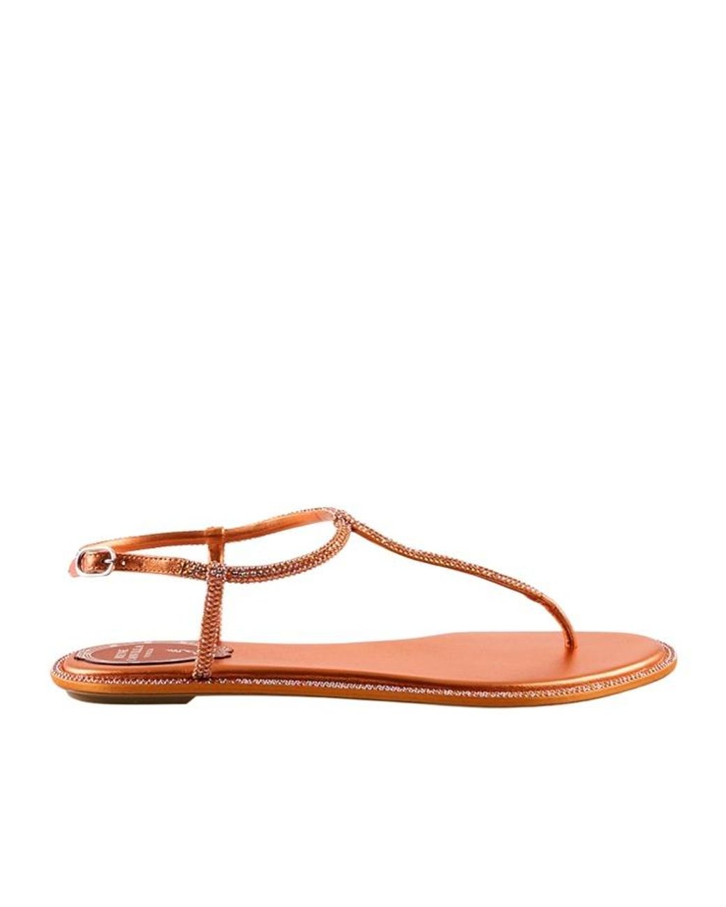 Rene Caovilla Brown René Caovilla Diana Embellished Thong Sandals