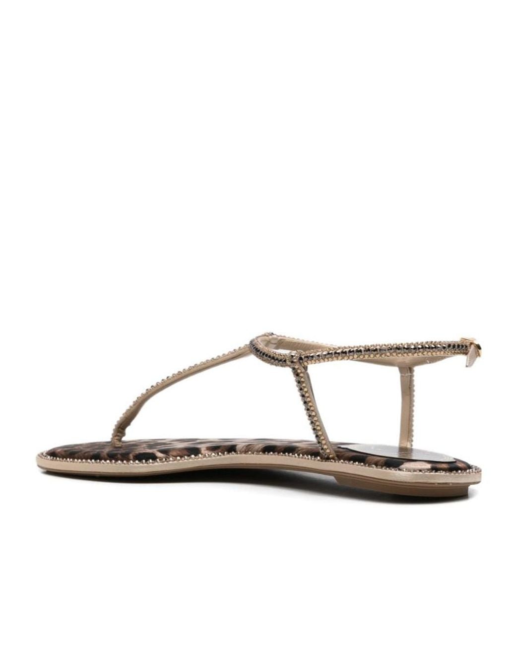 Rene Caovilla Brown Crystal-Embellished Leopard-Print Sandals