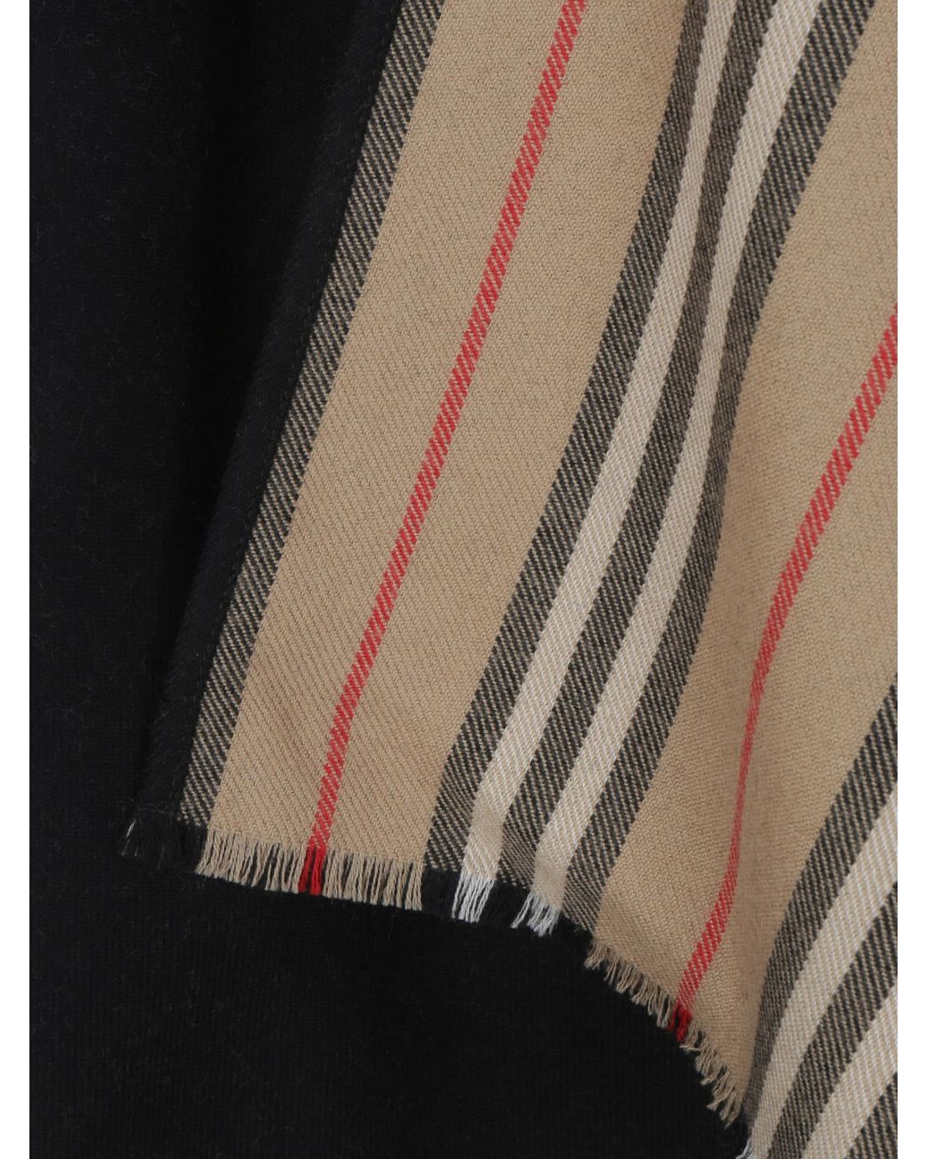 Burberry Black Burberry