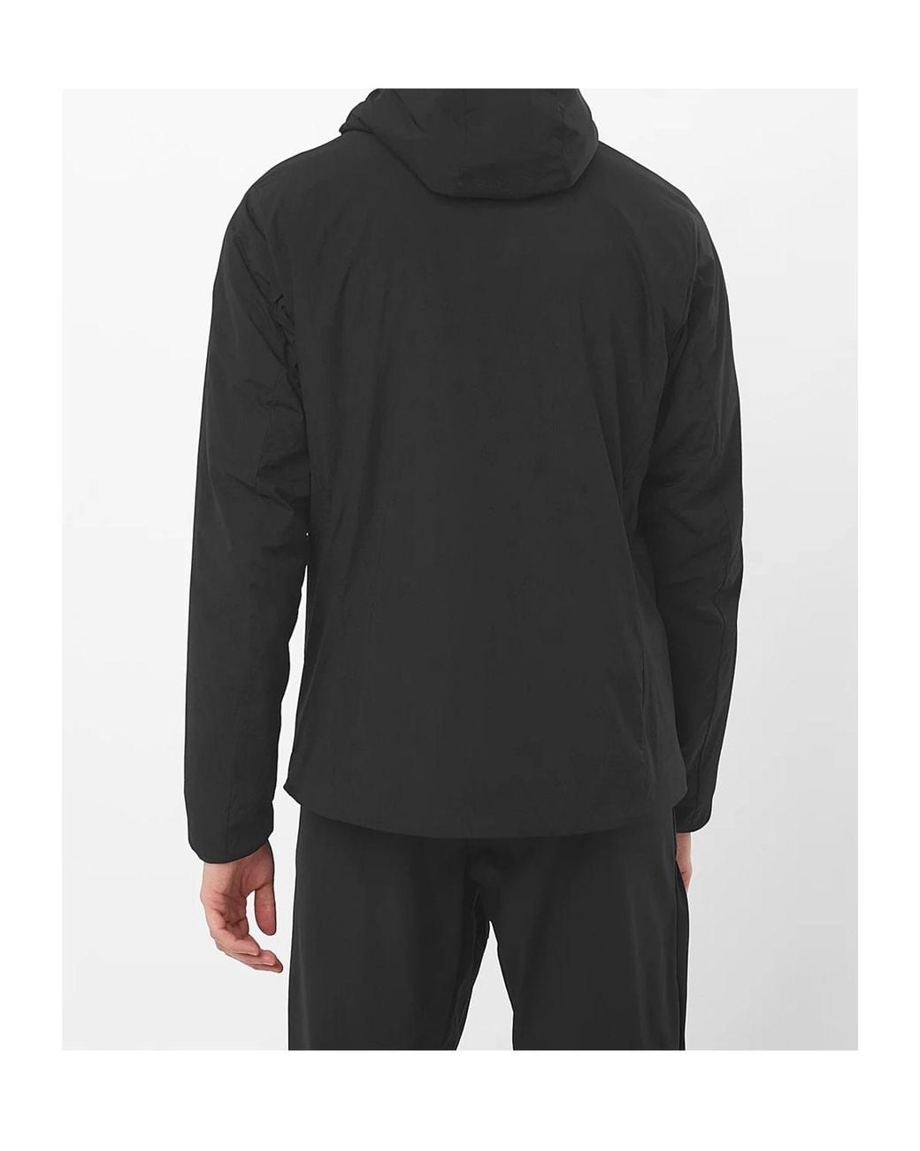 Salomon Lab Gray Mountain Flex Insulated Hooded Jacket for men