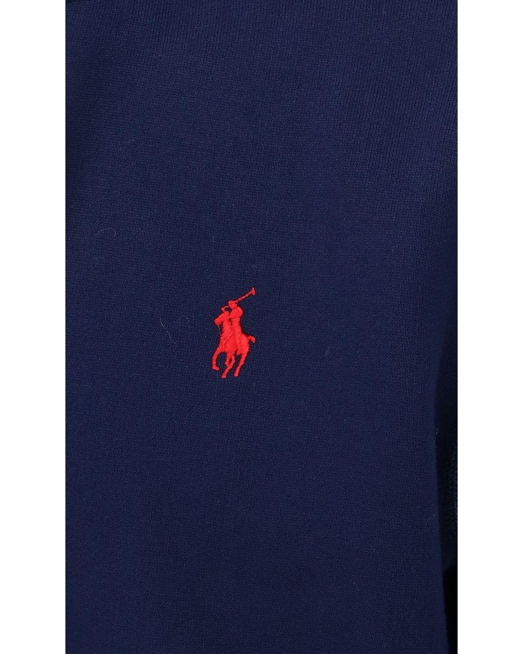 Polo Ralph Lauren Blue Ralph Lauren Zip-Up Logo Hoodie for men