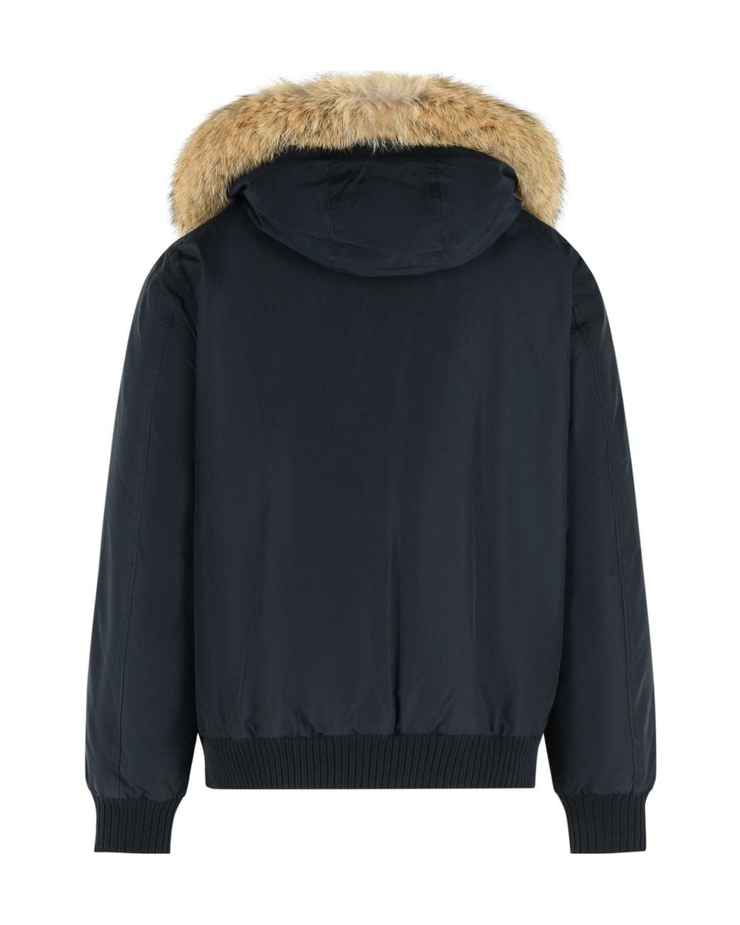 Woolrich Blue Polar Hooded Bomber Jacket for men