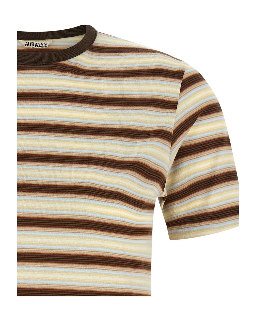 Auralee White Gradient Striped T-Shirt