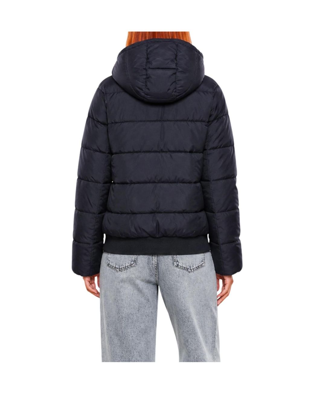 EA7 Blue Winter Jackets