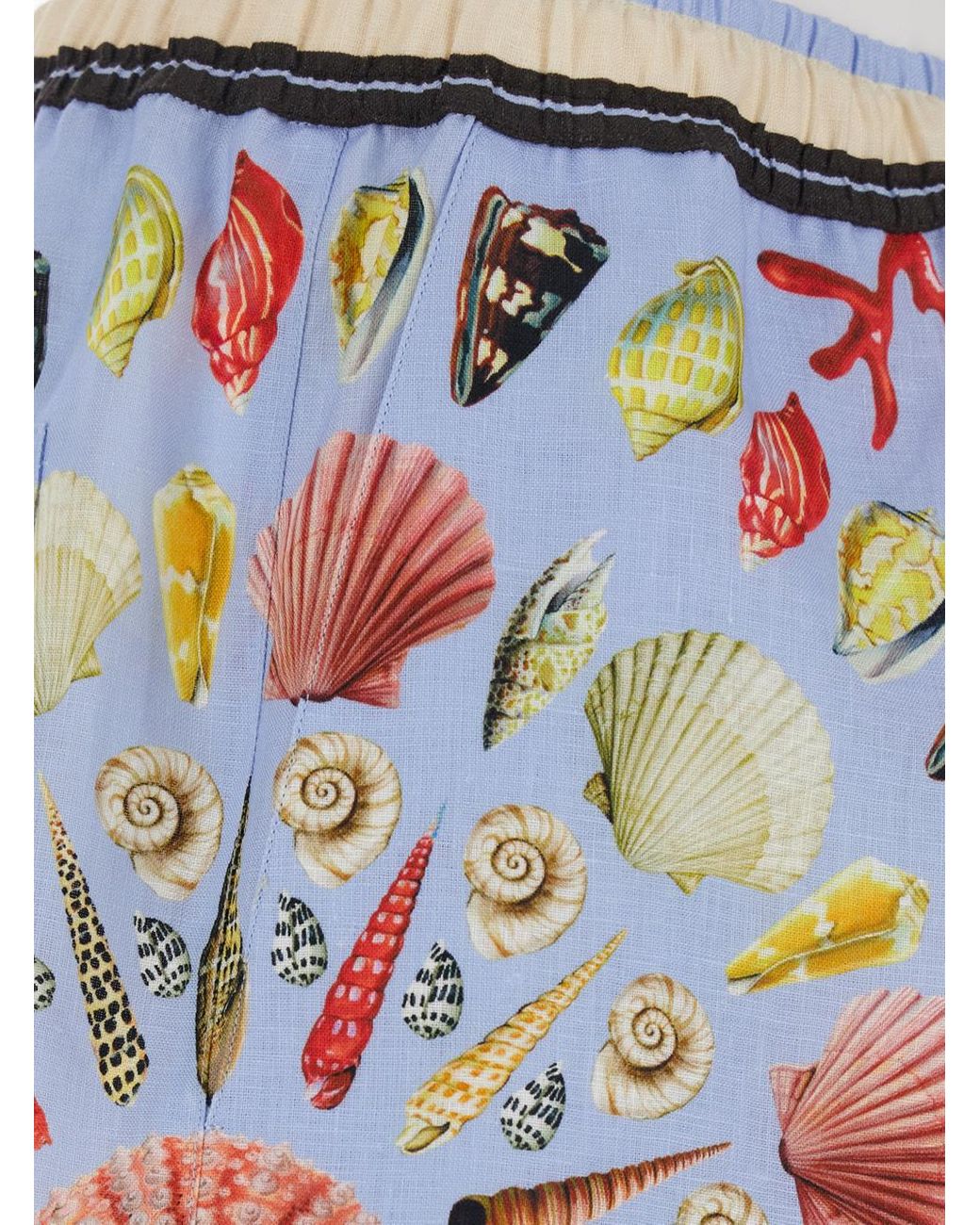 Dolce & Gabbana Blue Shell Printed Shorts for men