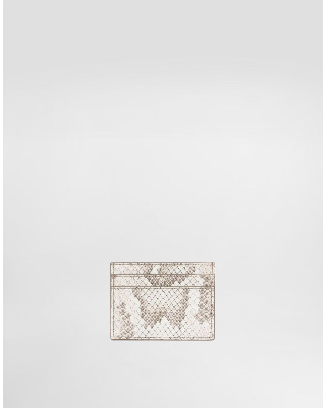 Dolce & Gabbana White Python Card Holder