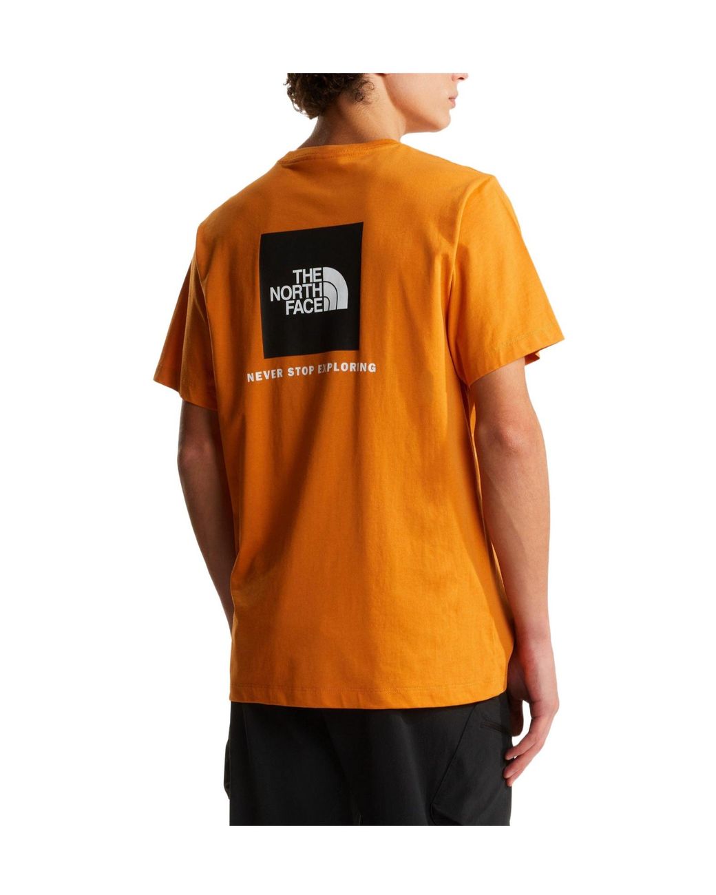 The North Face Orange Regular Fit T-Shirt for men