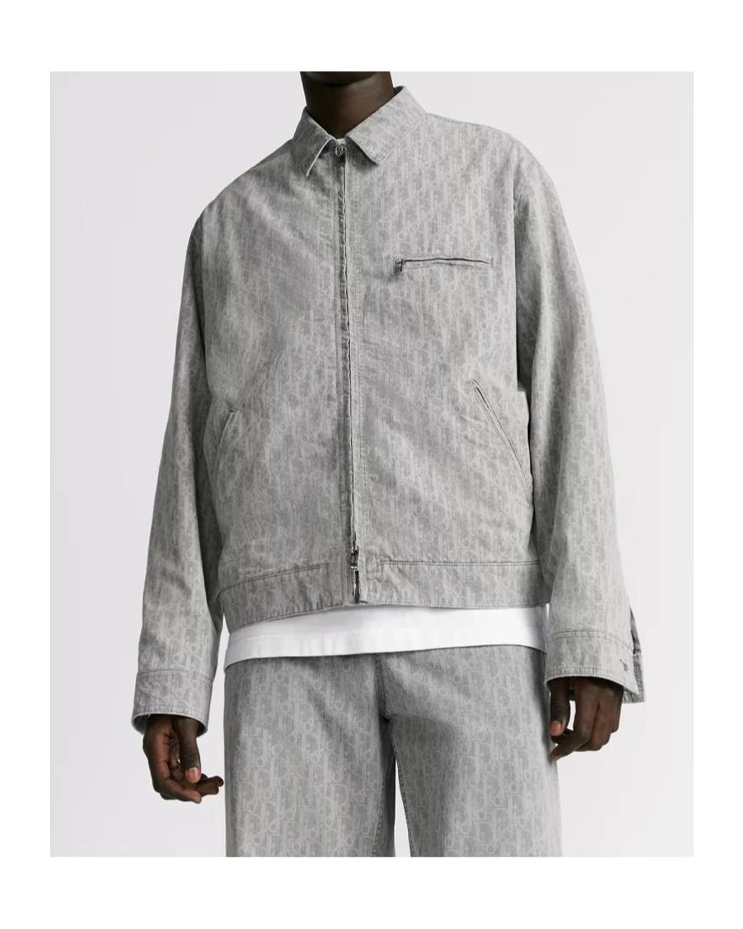 Dior Gray Homme Oblique Zipped Blouson Jacket for men