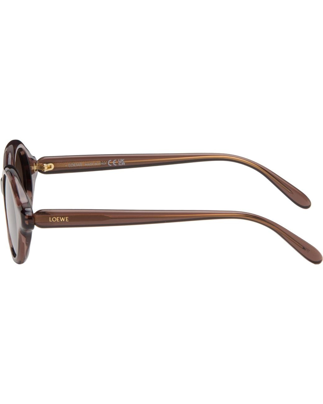 Loewe Multicolor Oval Frame Sunglasses
