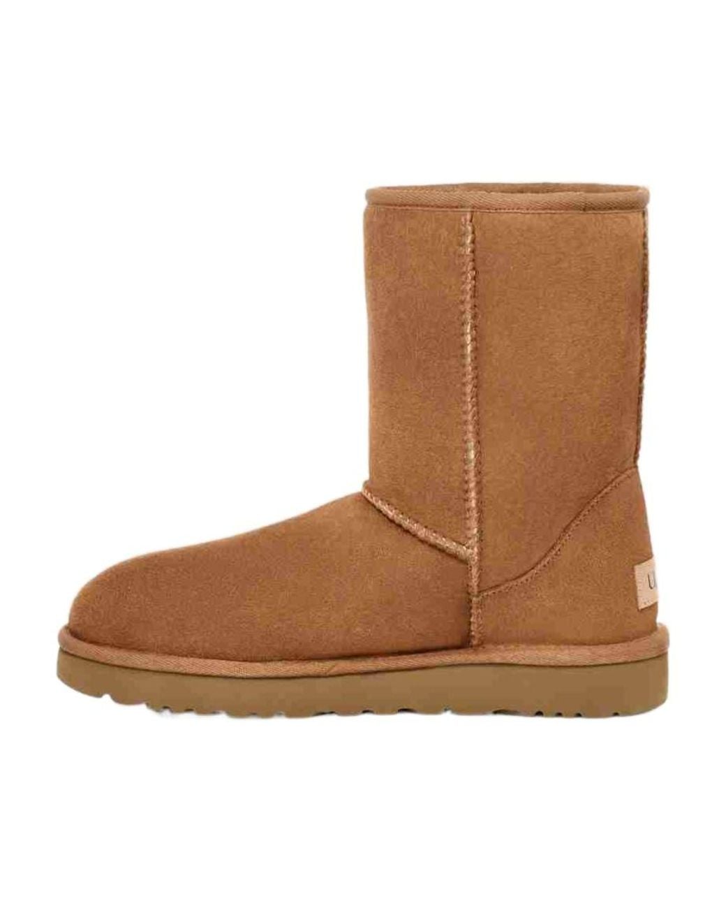 Ugg Brown Classic Short Boots for men