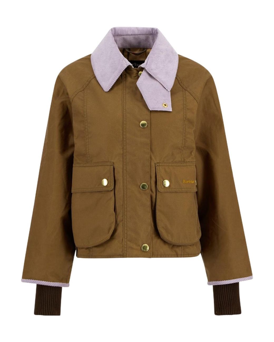 Barbour Brown B.Li Crop Beadnell Ld63