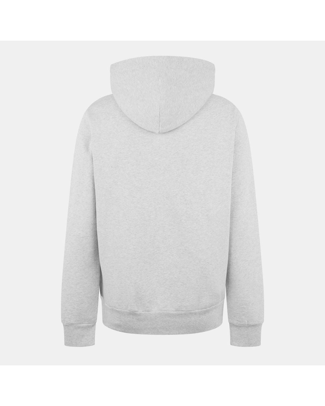Polo Ralph Lauren Gray Hooded Sweatshirt for men