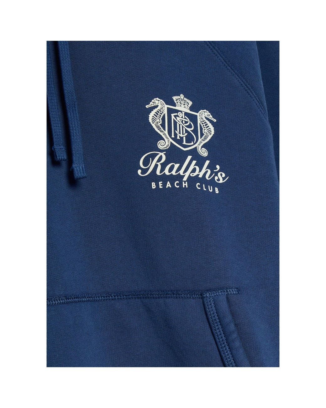 Polo Ralph Lauren Blue Simple Hoodie for men