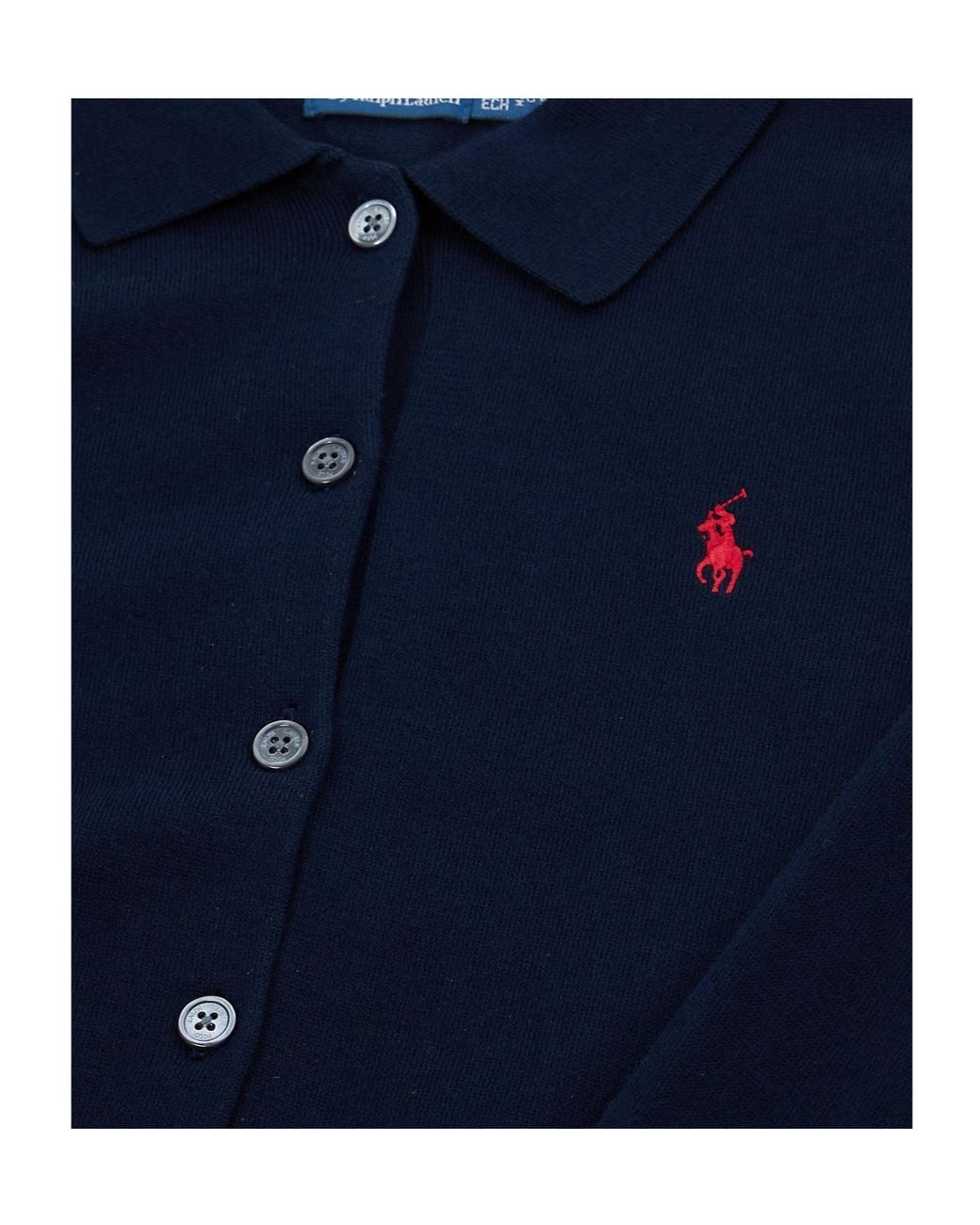 Polo Ralph Lauren Blue Collared Knit Cardigan