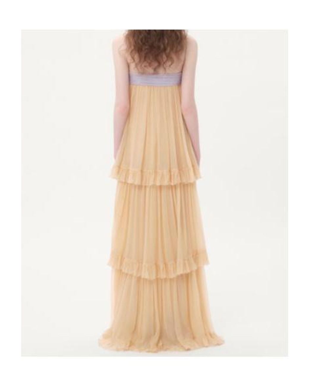 Valentino Natural Embroidered Crepe Chiffon Maxi Dress