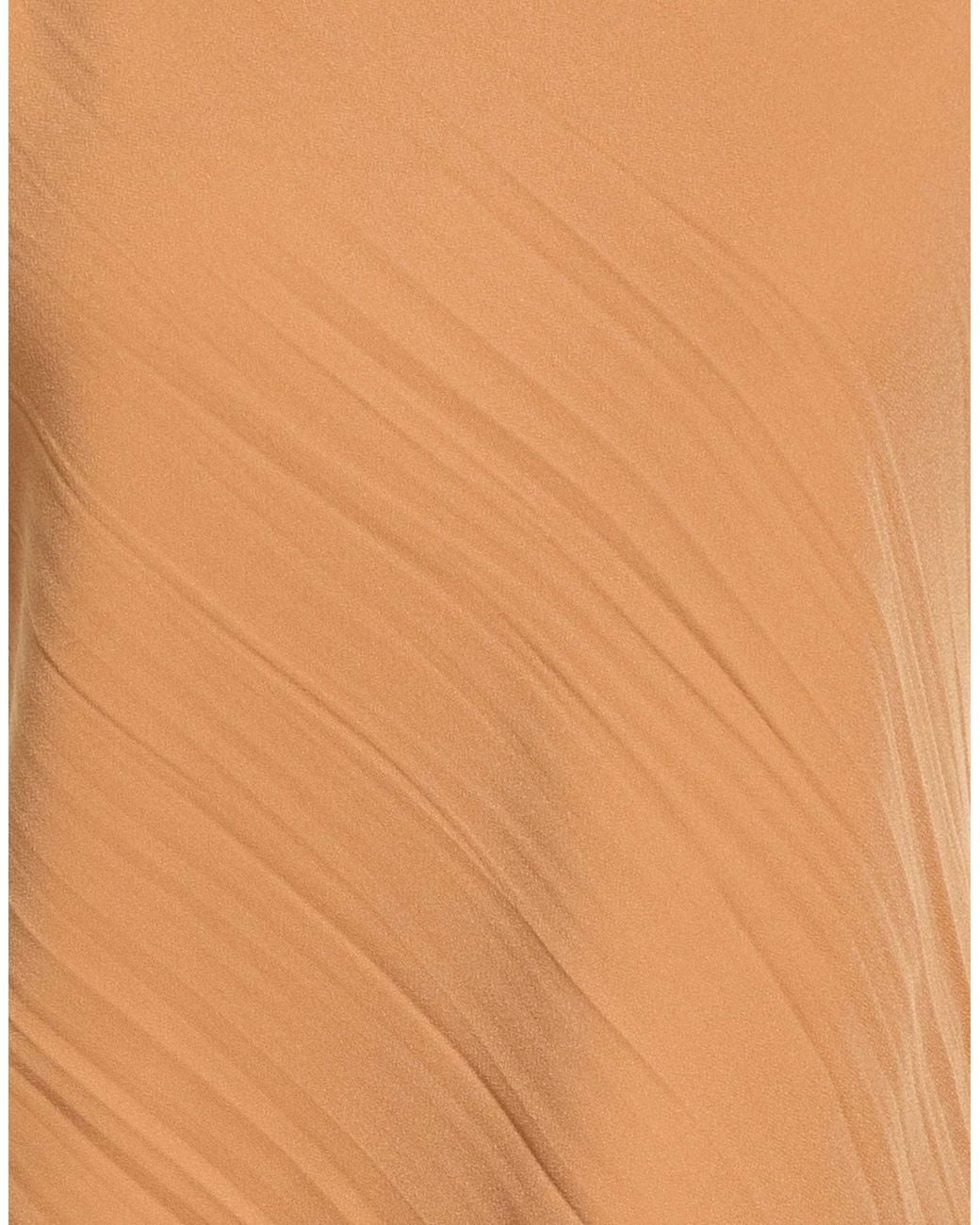 MAX&Co. Brown Crew-Neck Sleeveless Top