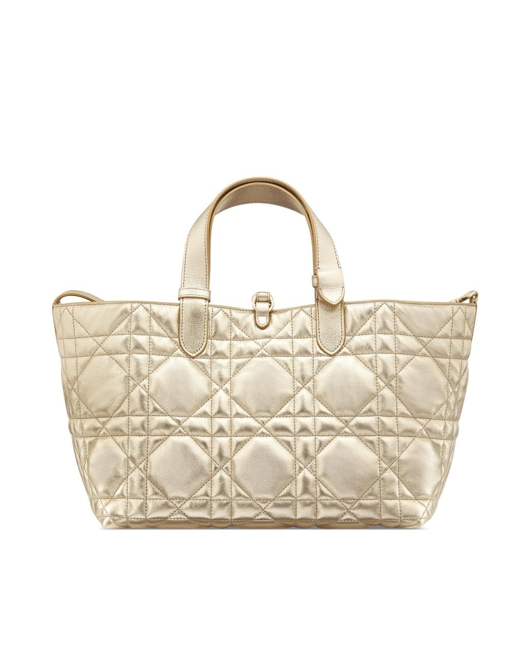Dior Metallic Medium Toujours Bag