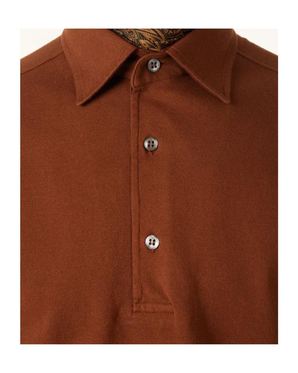 Loro Piana Brown Brenna Polo Shirt for men