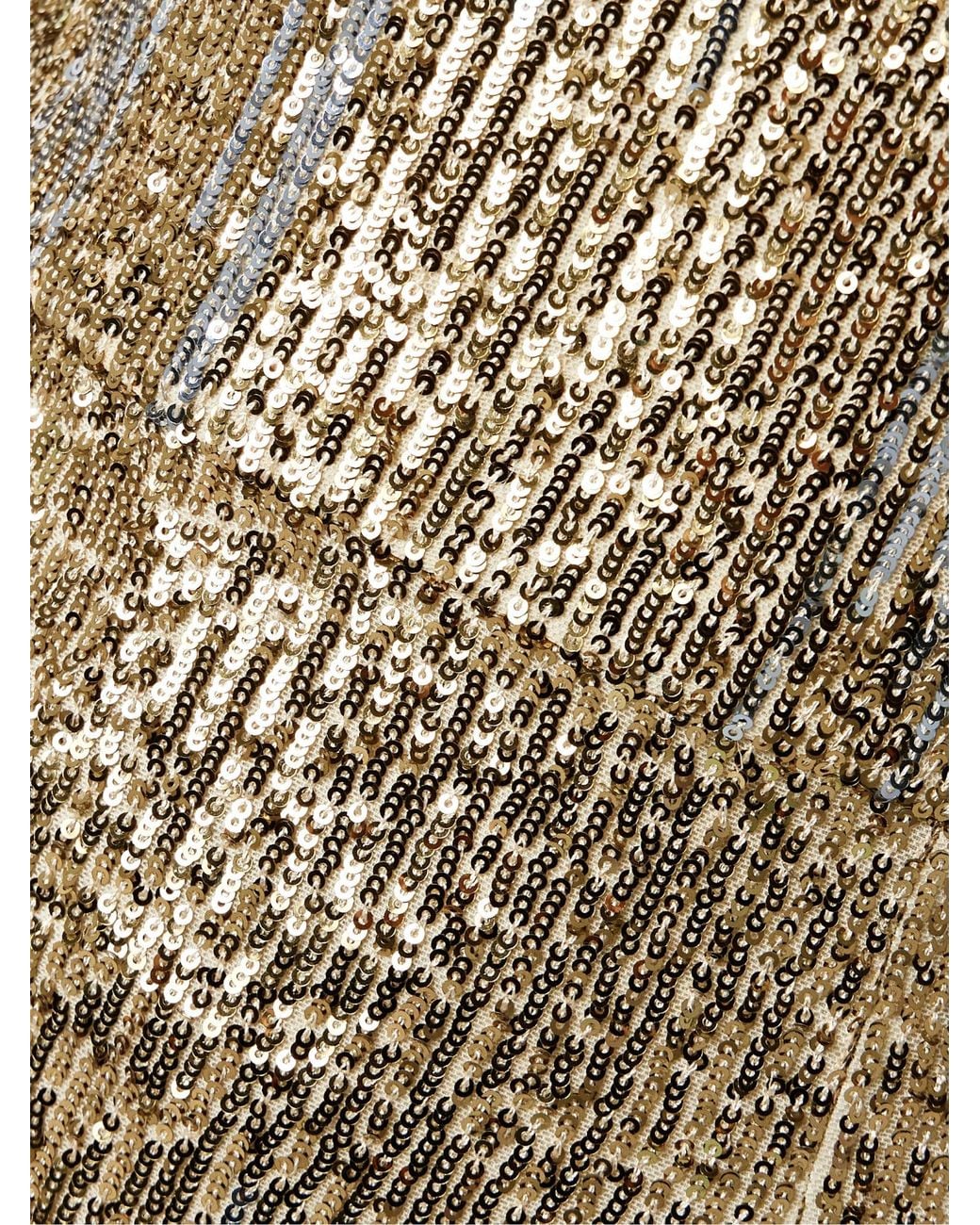 Elie Saab Natural And Sequin Gradient Evening Gown