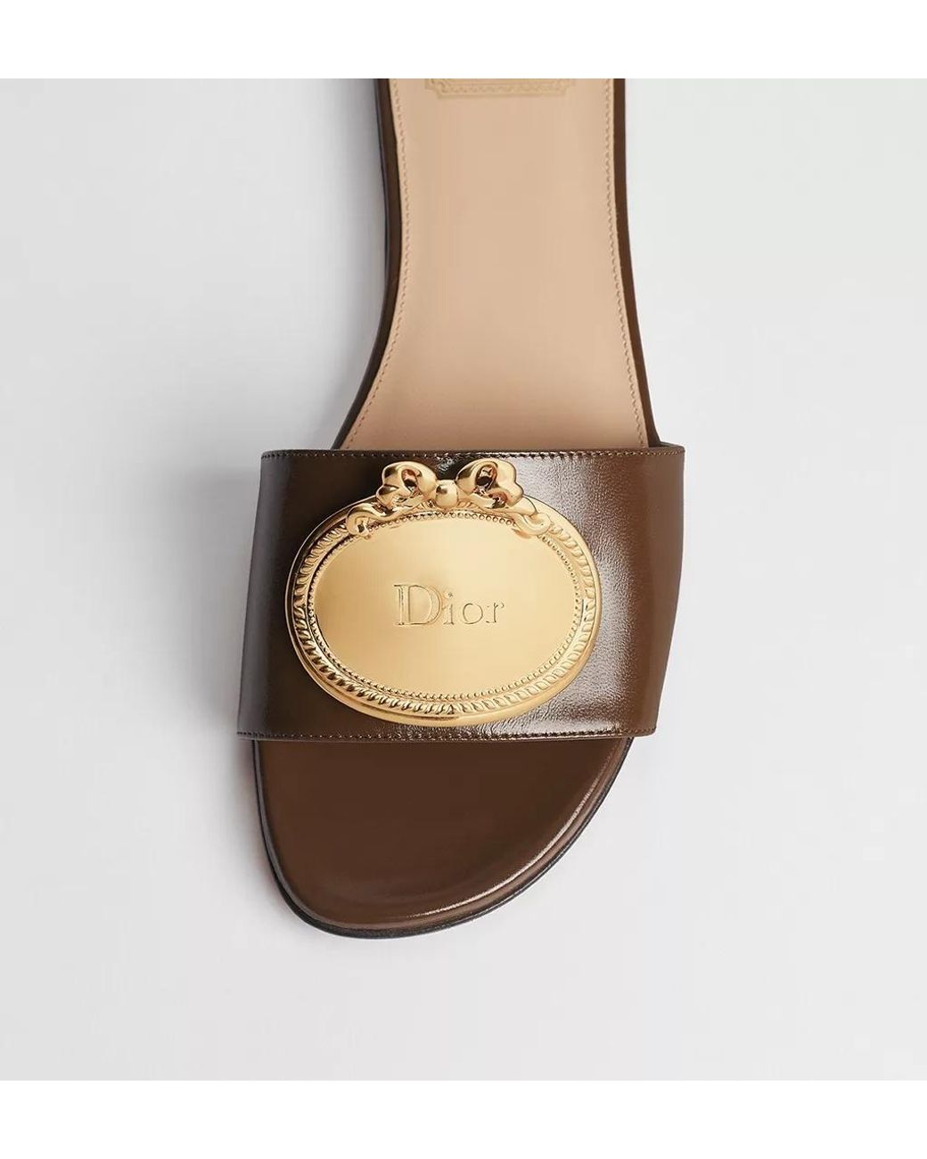 Dior Brown Médaillon Buckle Slide