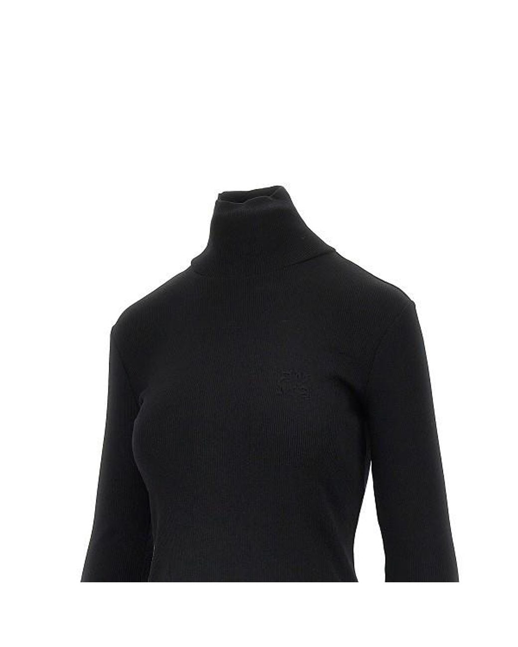 Max Mara Black Cono Ribbed Turtleneck Knitted Jumper