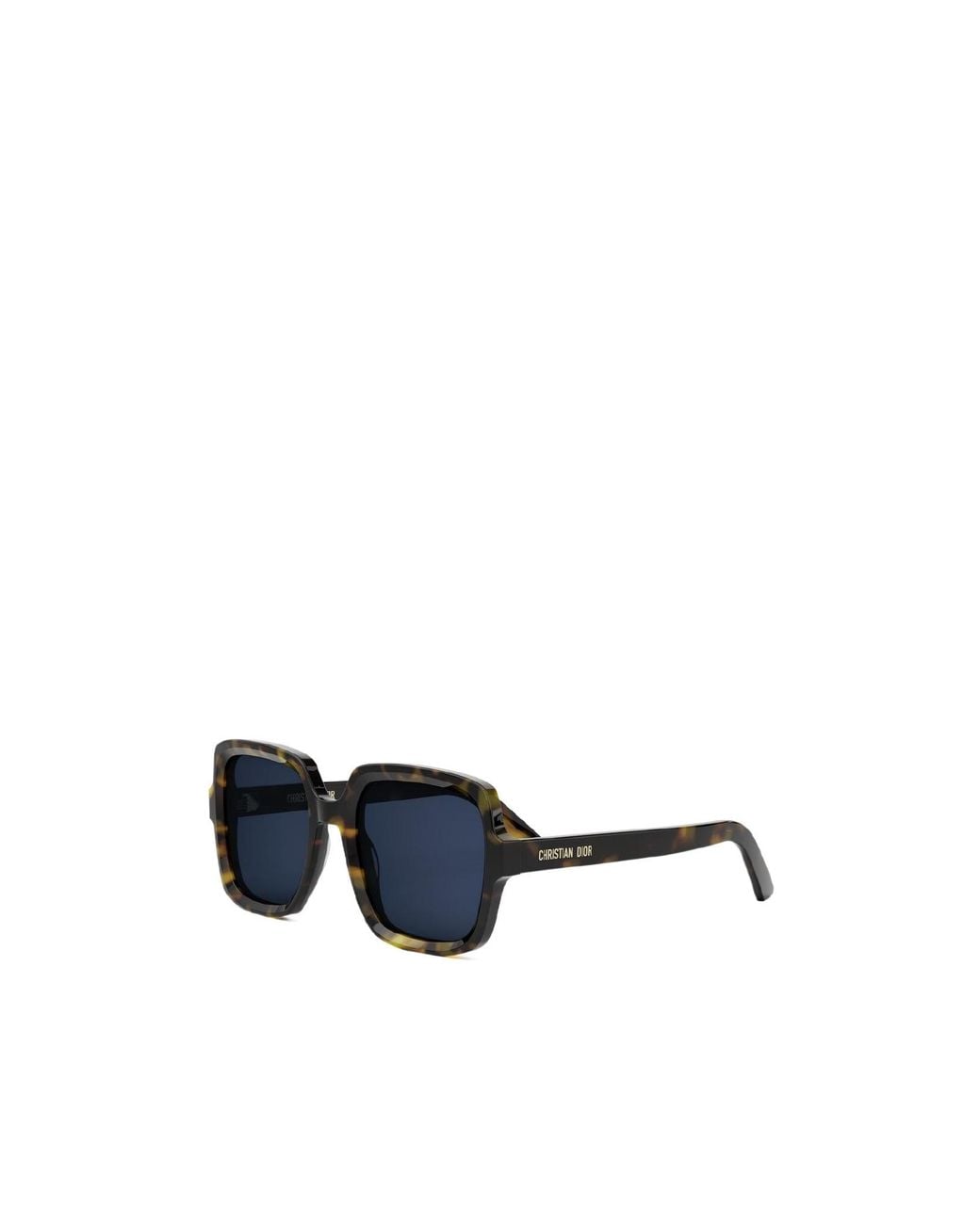 Dior Multicolor Eyewear Midnight S4I Oversized Frame Sunglasses