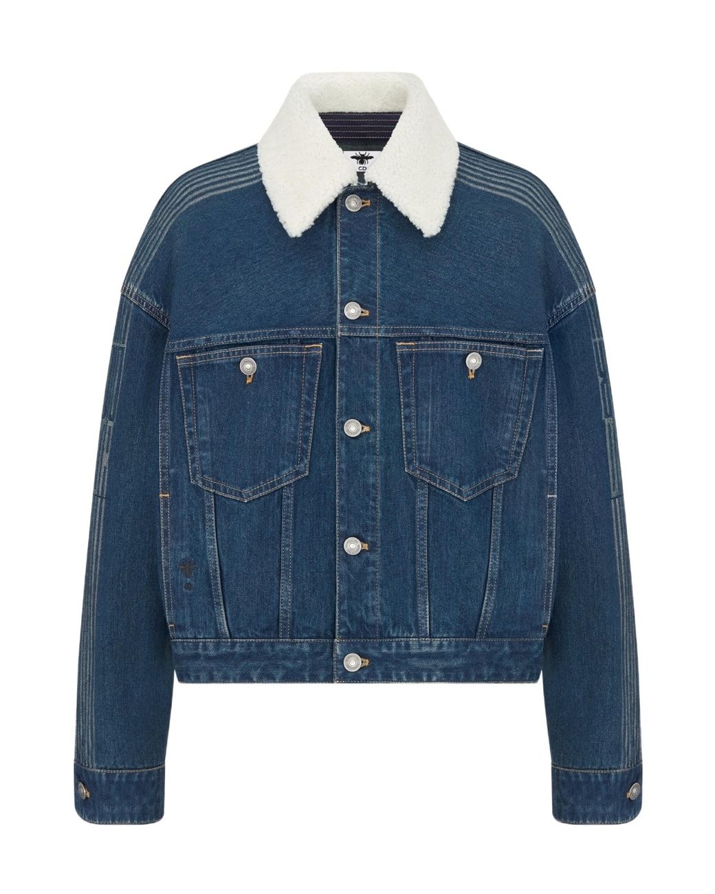 Dior Blue Alps Oversized Jacket