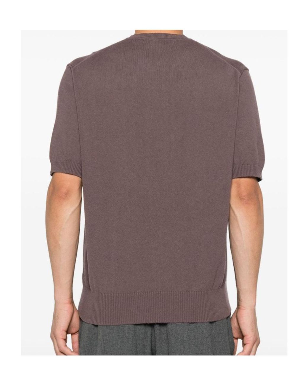 Vivienne Westwood Purple Logo-Embroidered Short-Sleeve Sweater for men