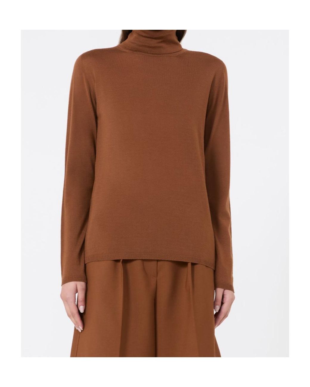 Max Mara Brown Saluto Roll-Neck Long-Sleeve Sweater