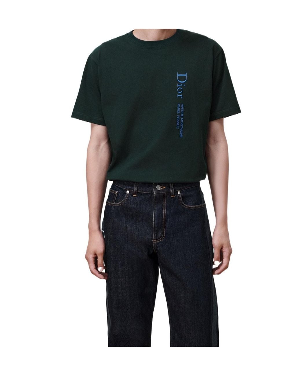 Dior Black Alps Montaigne T-Shirt, Relaxed Fit for men