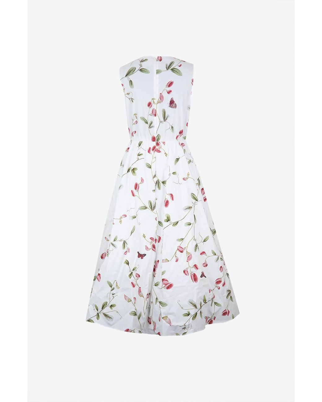 Giambattista Valli White Carnations Sleeveless Poplin Midi Dress