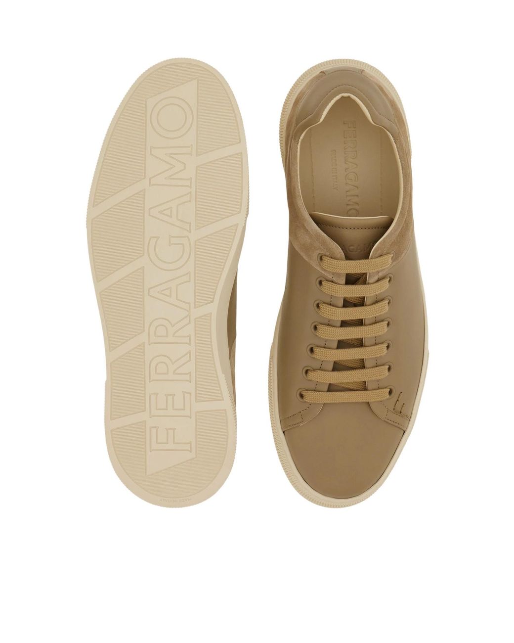 Ferragamo Brown Low Cut Sneaker for men