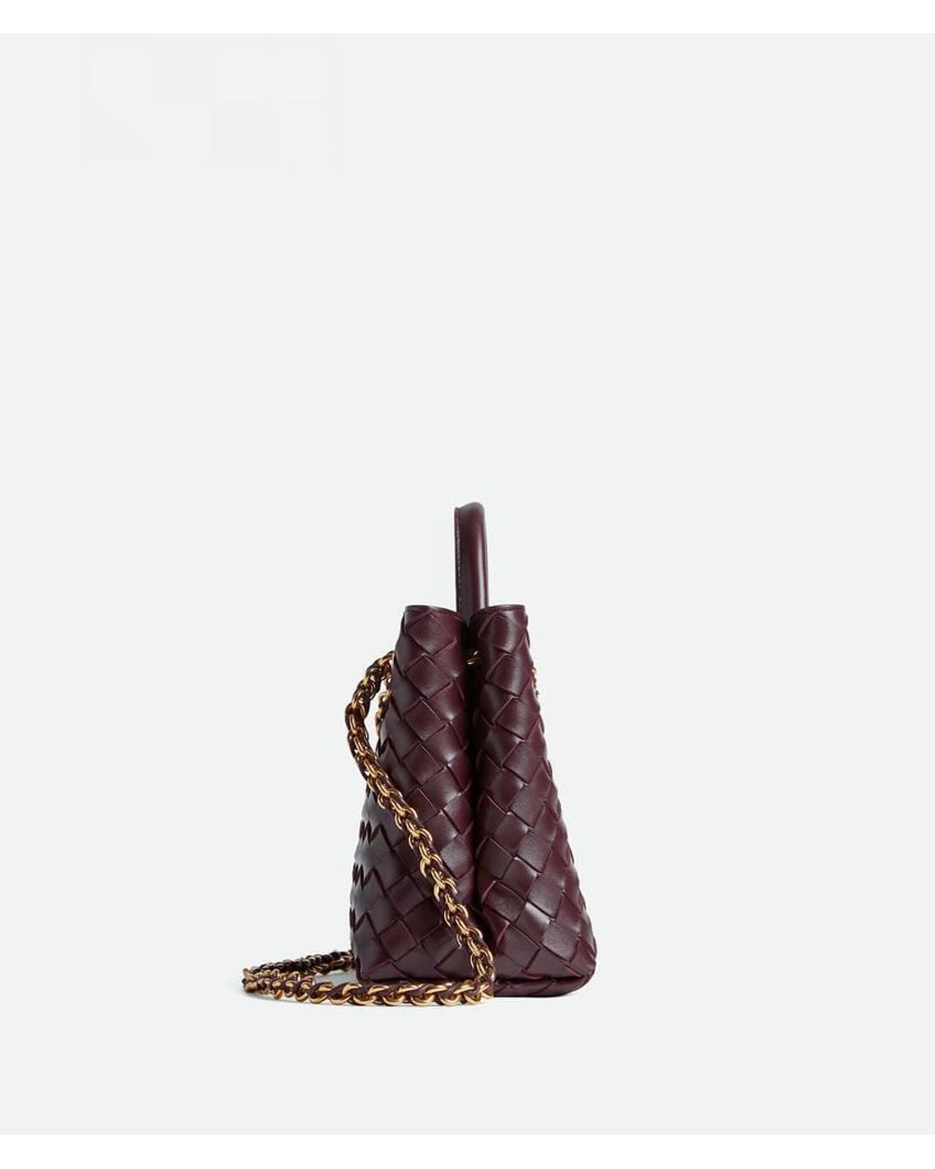 Bottega Veneta Purple Small Andiamo Chain