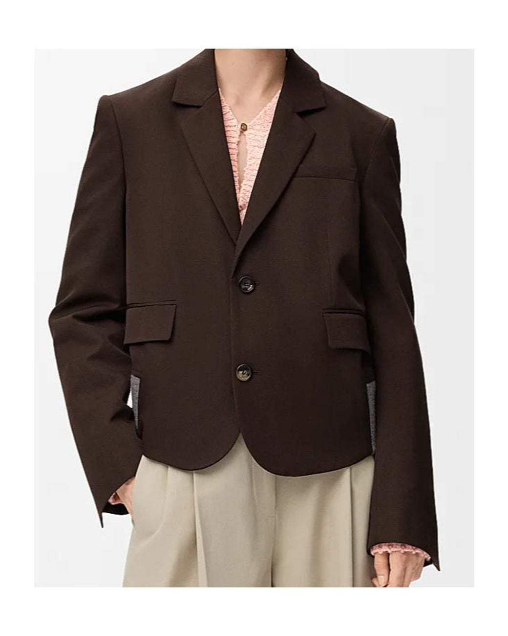 Loewe Brown Single-Breasted Cropped Jacket