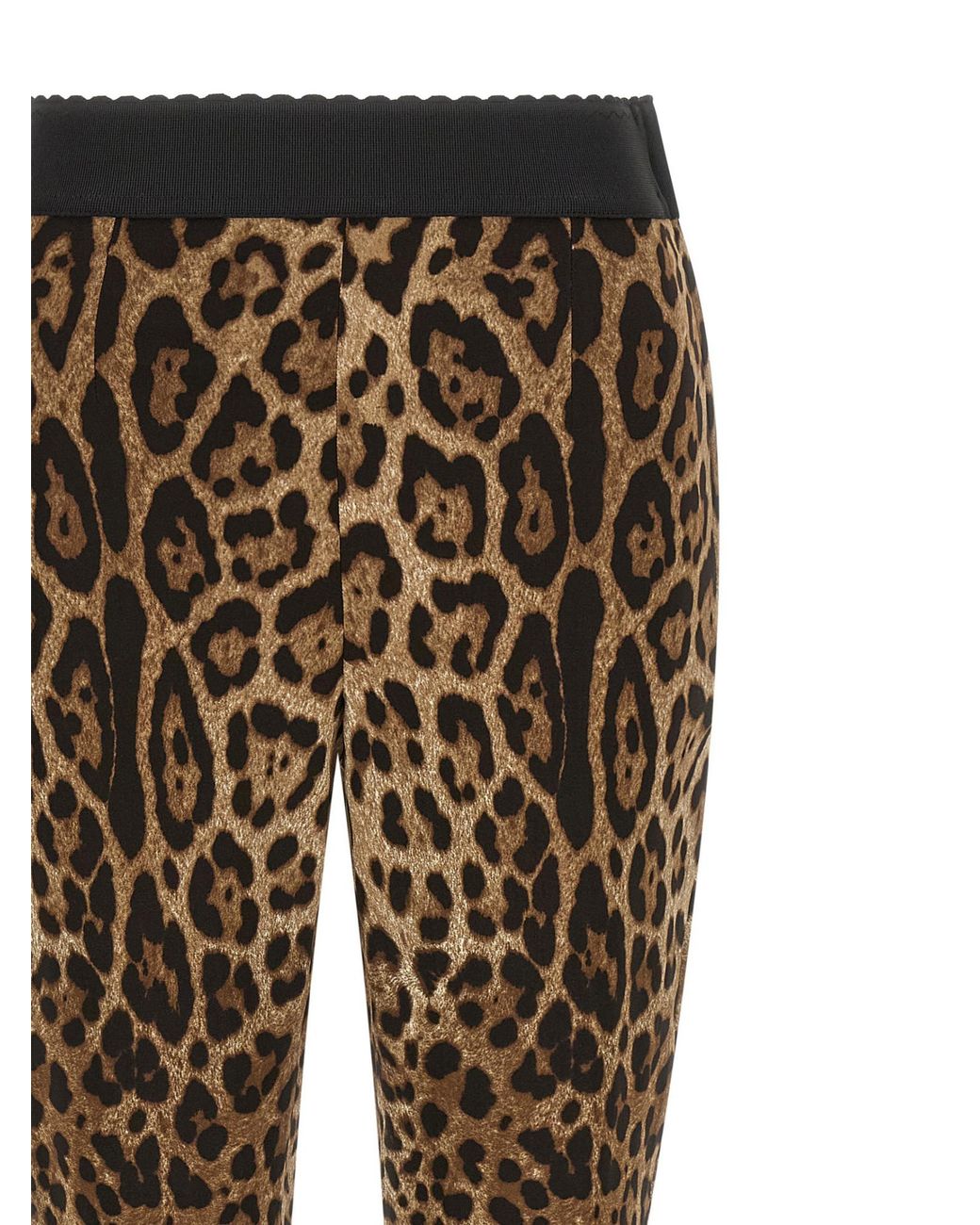 Dolce & Gabbana Black Leopard Printed Leggings