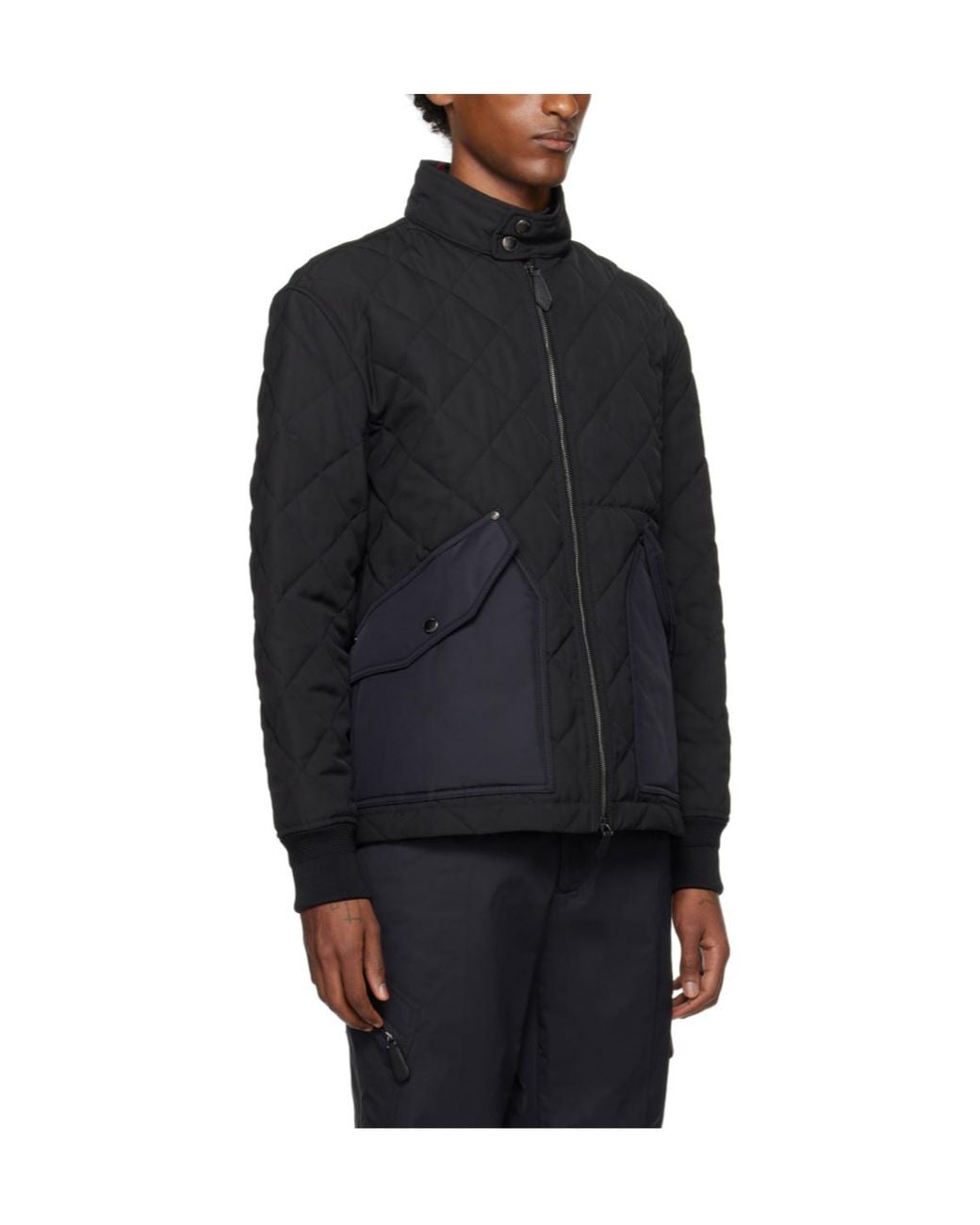 Burberry Blue Radley Cotton Clothes for men