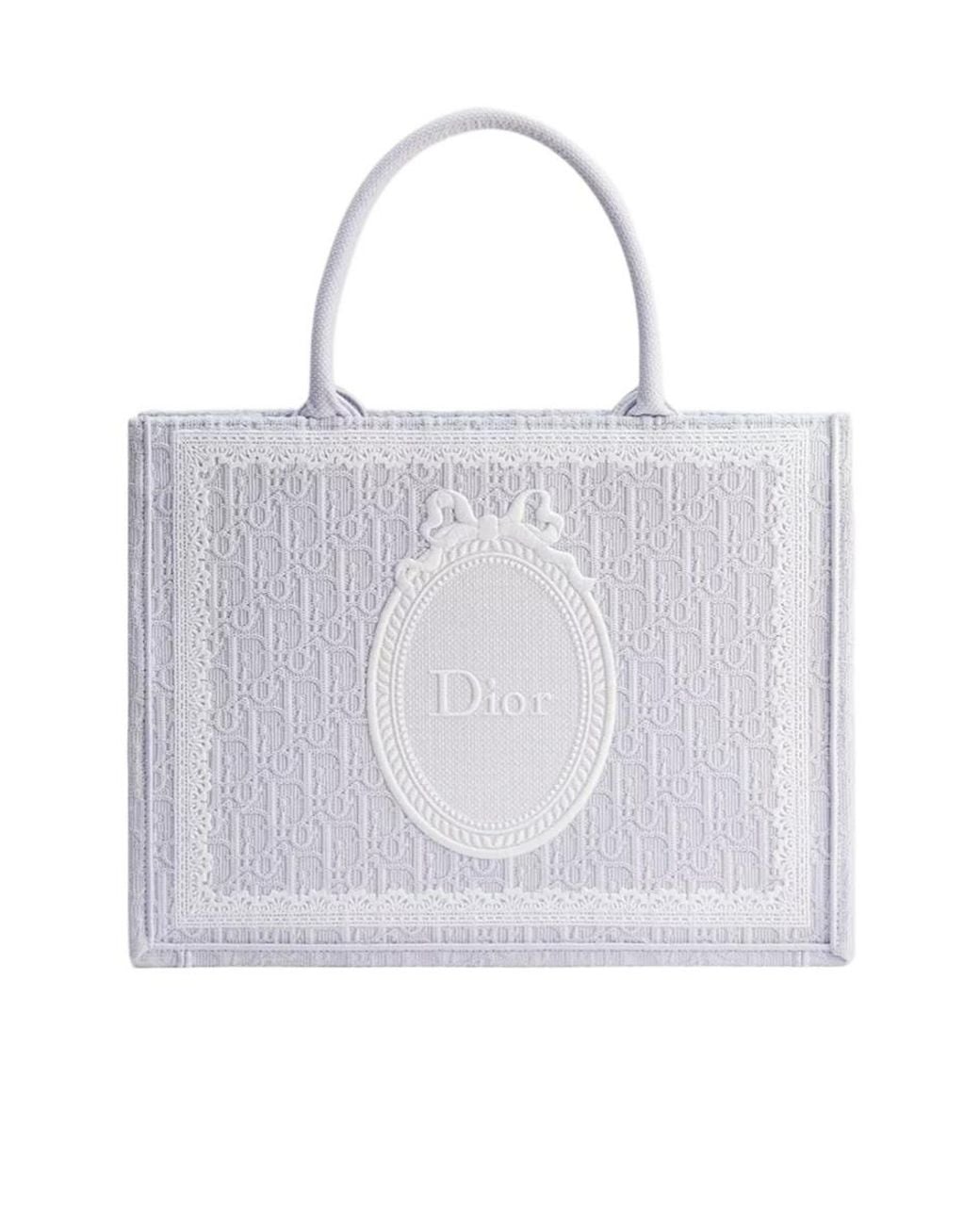 Dior Gray Medium Book Tote With Strap