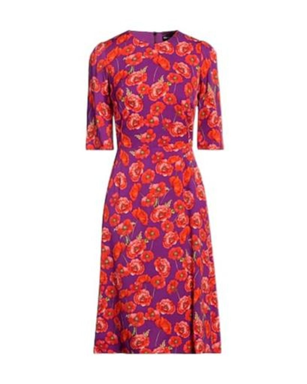 Dolce & Gabbana Red Floral Print A-Line Dress