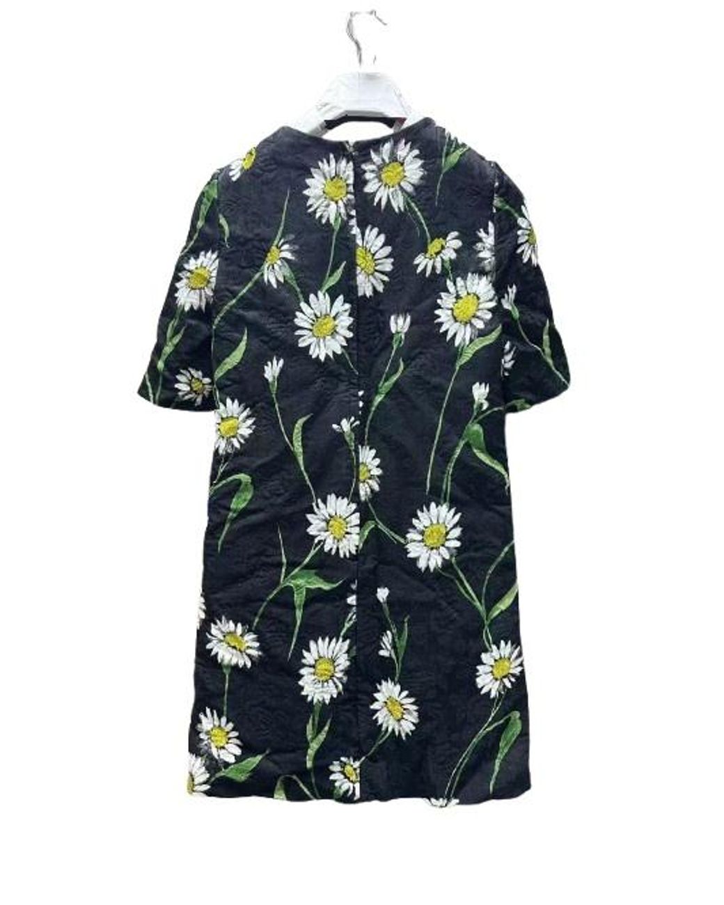 Dolce & Gabbana Multicolor Short-Sleeved Dress