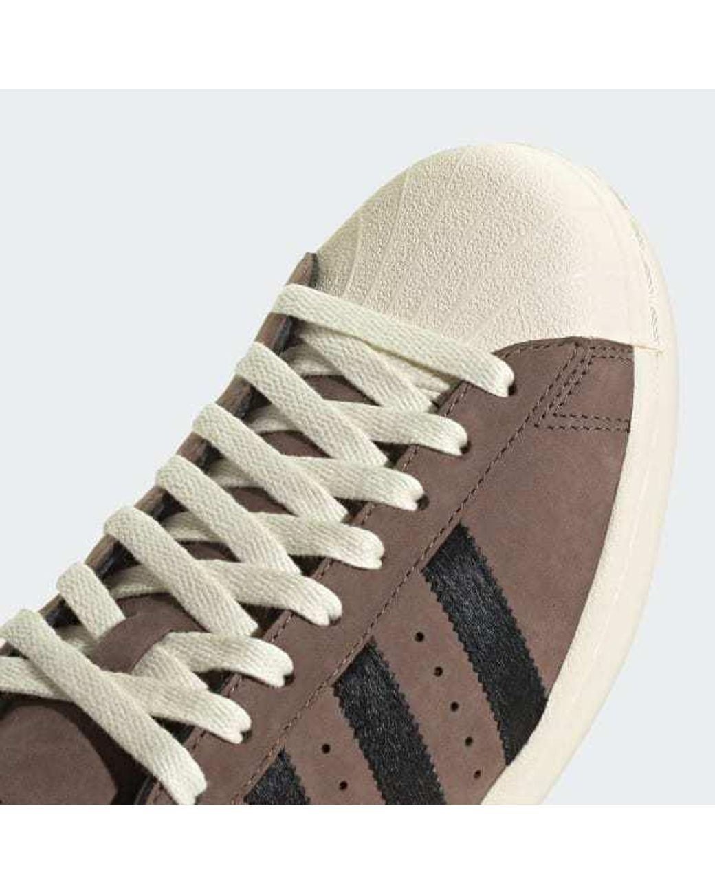 Adidas Originals Brown Superstar Sneakers for men