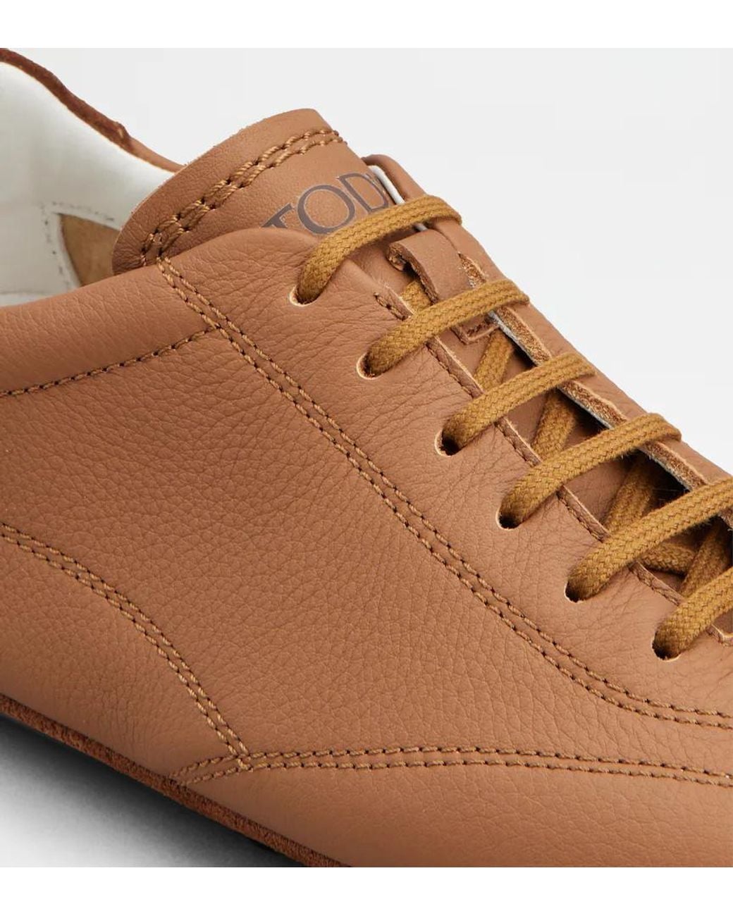 Tod's Brown Sneakers