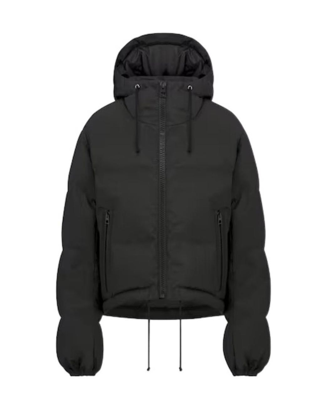 Dior Black Alps Hooded Down Jacket