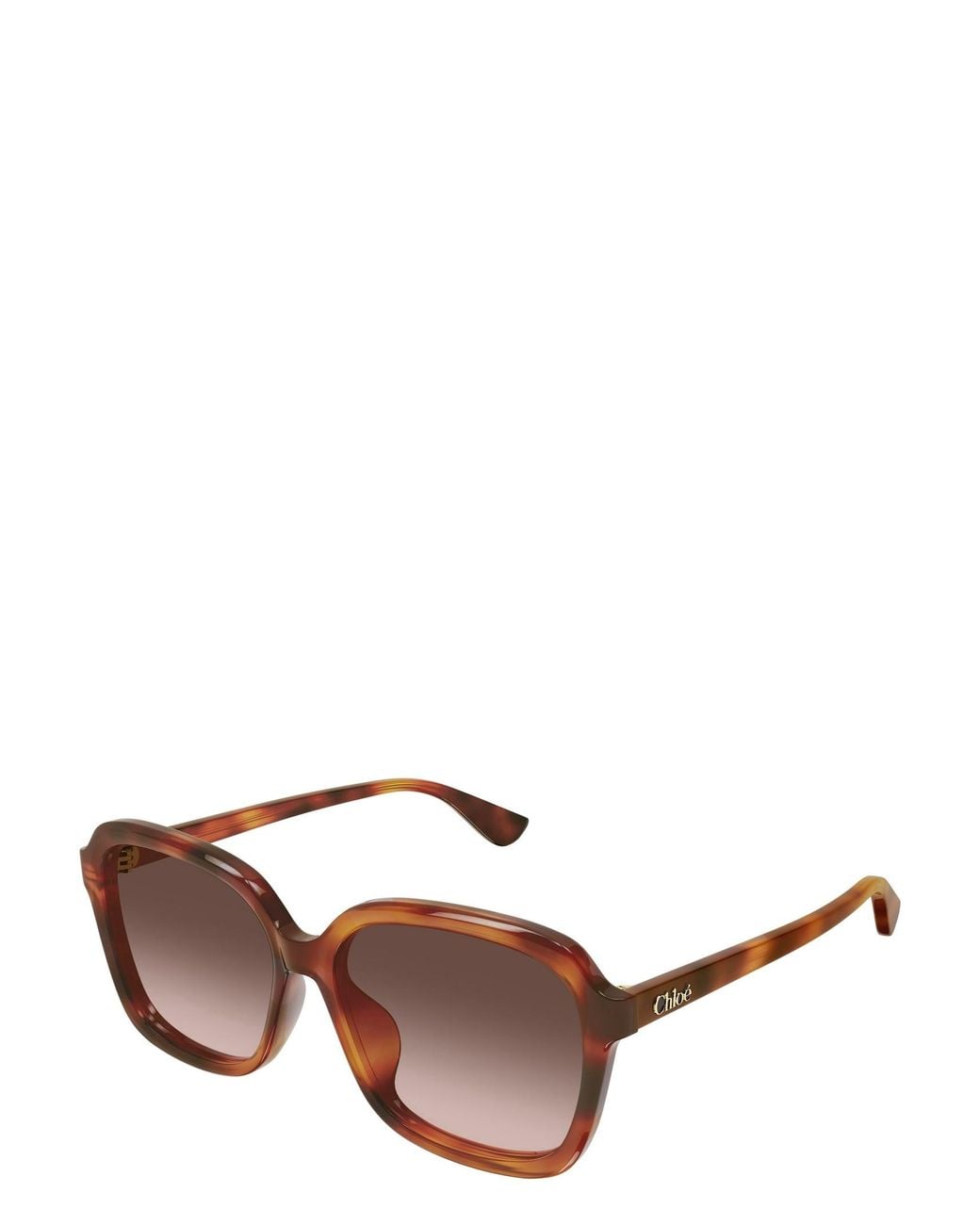 Chloé Brown Chloé Eyewear Oversized Square Sunglasses