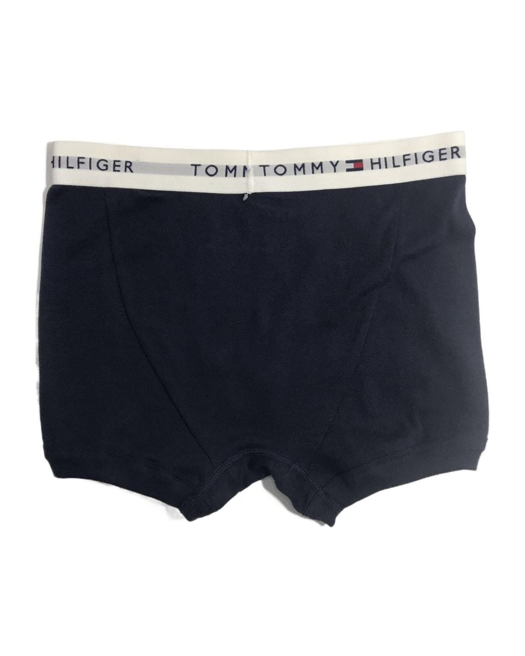 Tommy Hilfiger Blue Logo Detail Panties for men