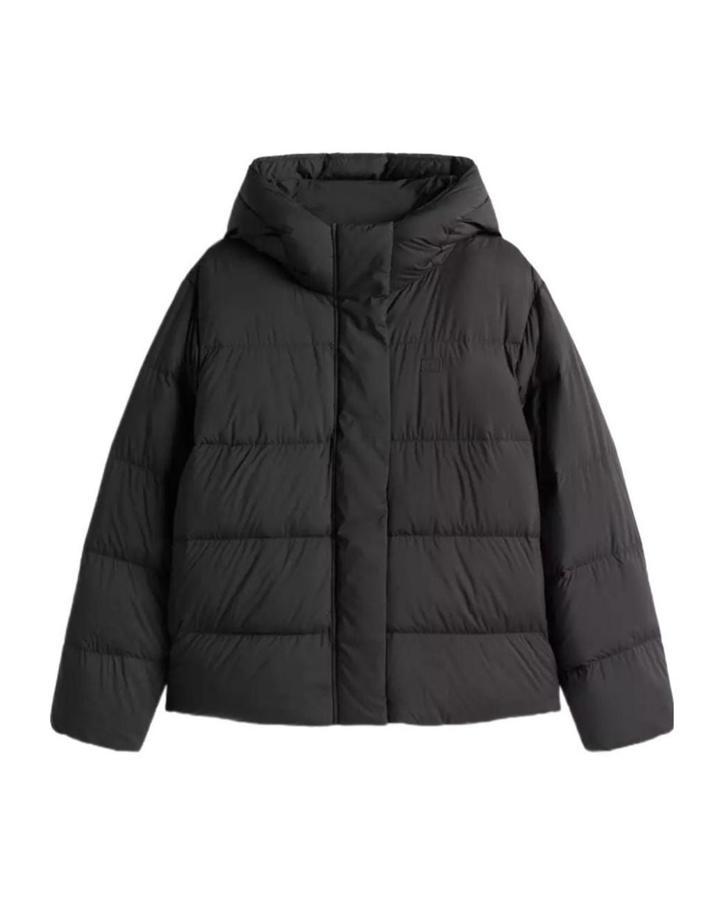 Tommy Hilfiger Black Shorts Down Puffer Jacket